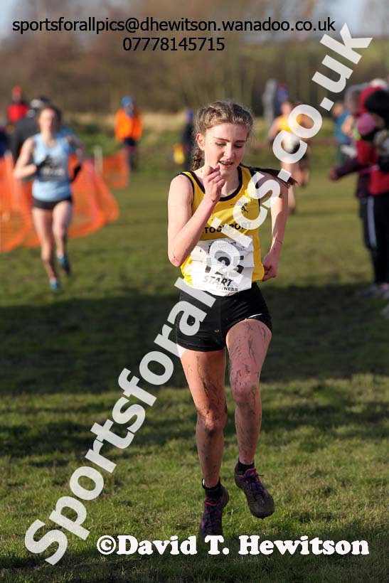 Under-17 womens Northern Cross Country  Championships, Pontefract. Photo: David T. Hewitson/Sports for All Pics